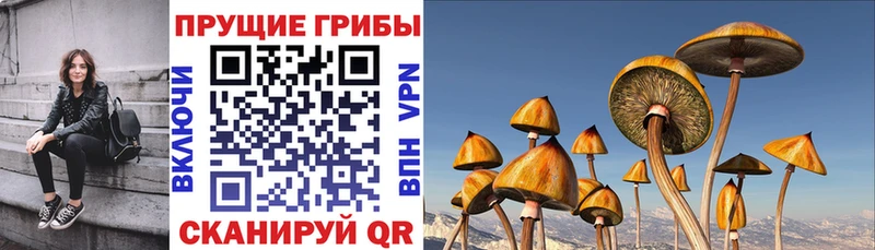 цены   Алагир  Галлюциногенные грибы Magic Shrooms 